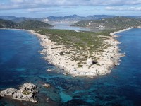 Ses Salines - Punta de Ses Portes